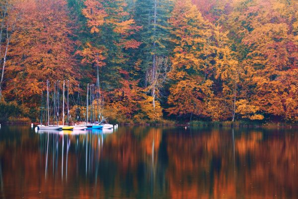 Autumn at lake Bohinj