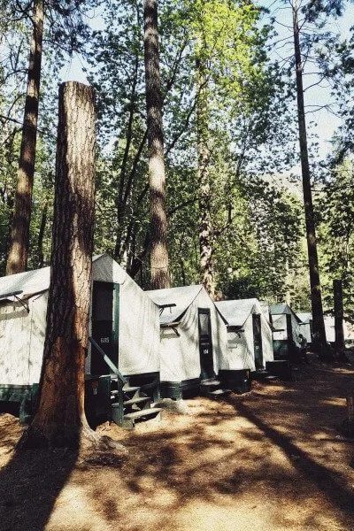 Glampin cabins in forest.