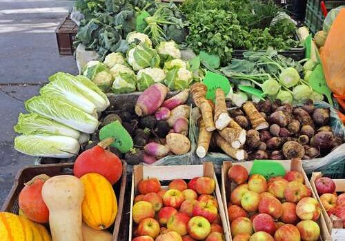 Organic food (vegetables and fruits) in Slovenia